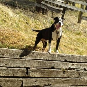 Meet your Posher, Katlin